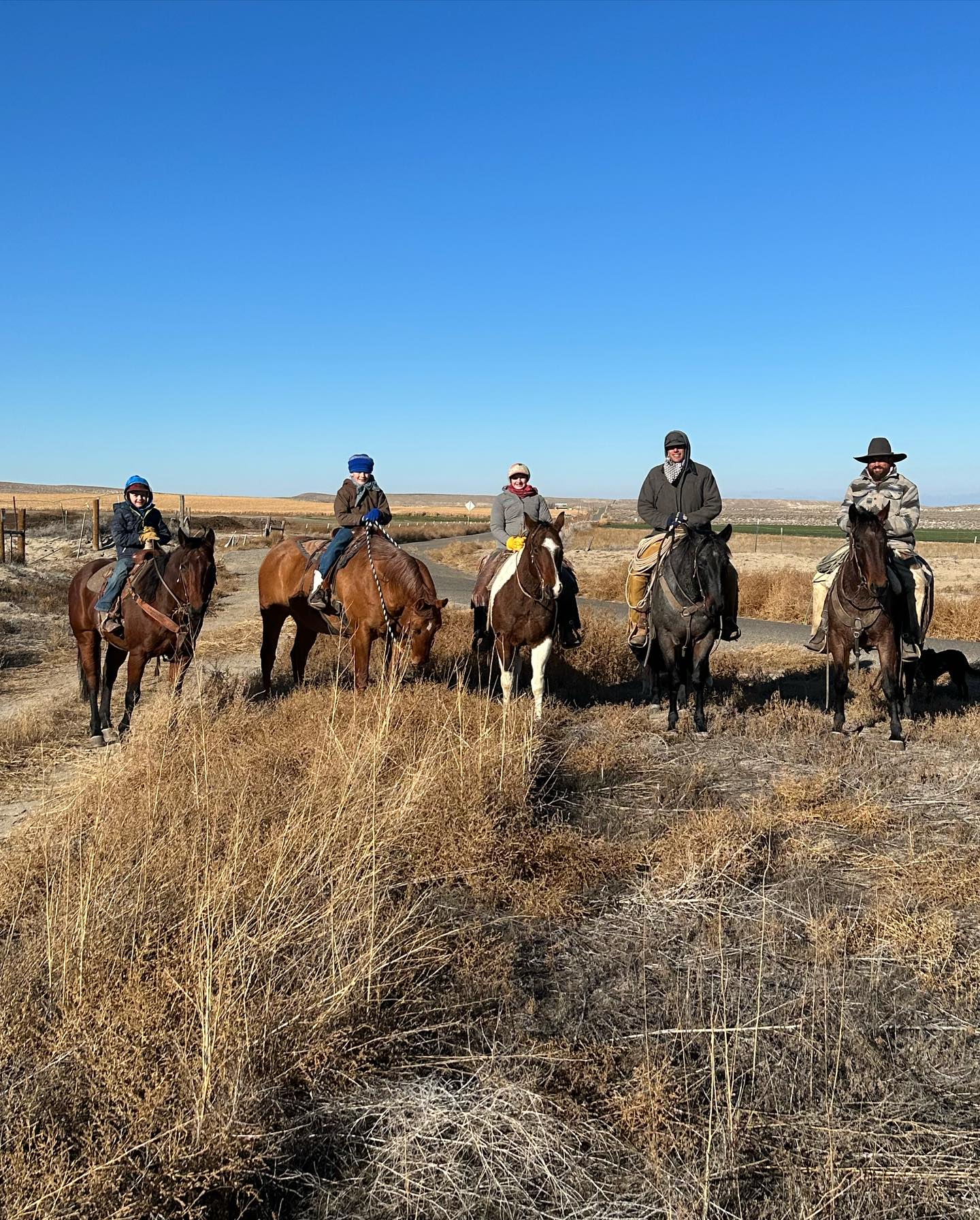 Thomas Cattle Company | Idaho Preferred