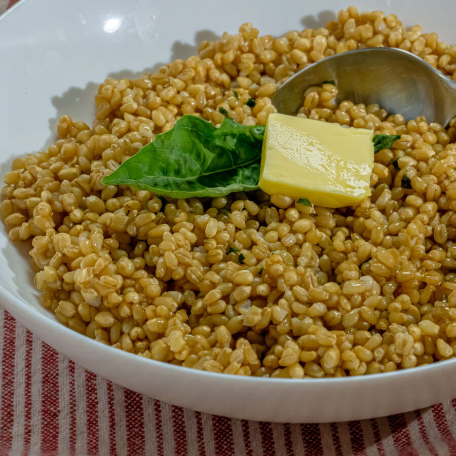 Pressure Cooker Wheat Berries Idaho Preferred