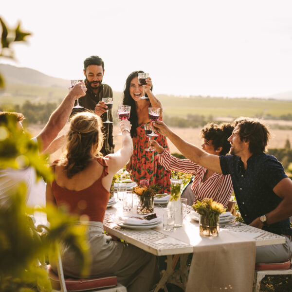 Group of people toasting wine glasses
