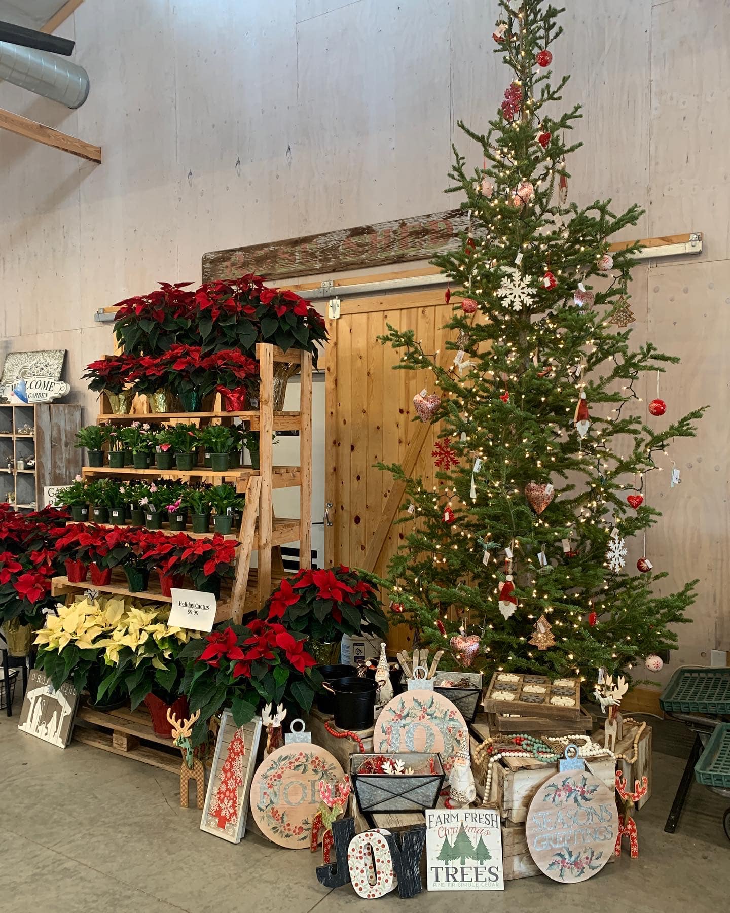 Christmas Trees Idaho Preferred