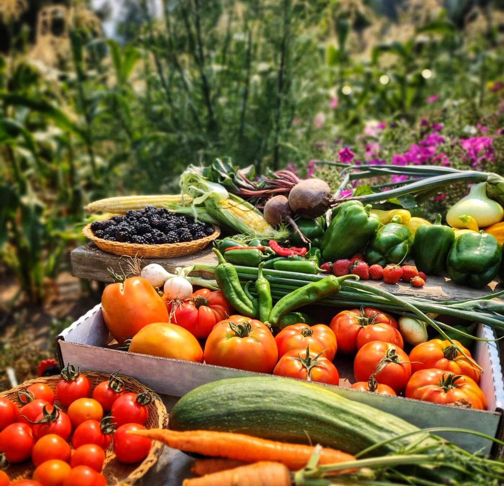 Winter Ridge Natural Foods Market | Idaho Preferred