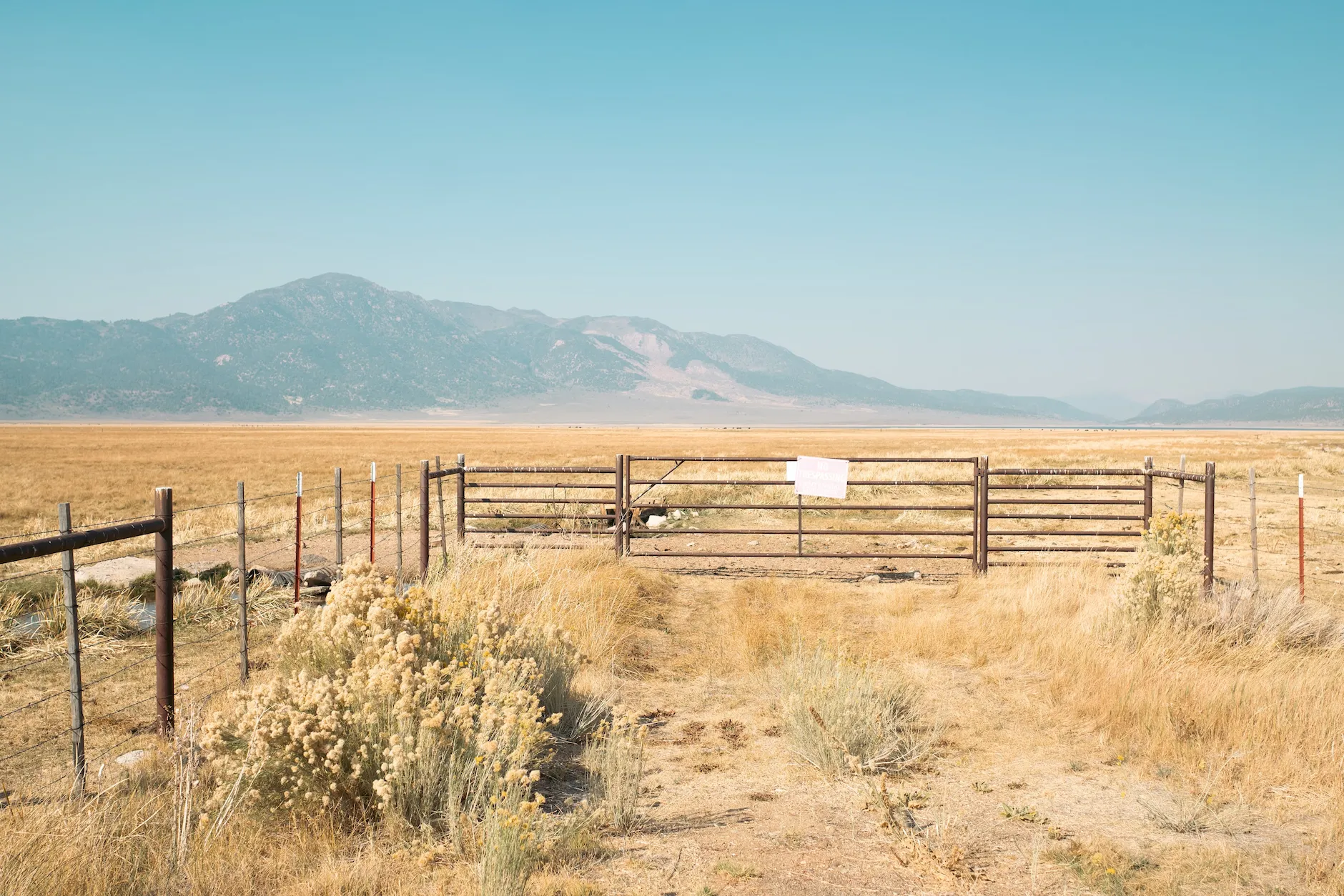 Open field with corrals