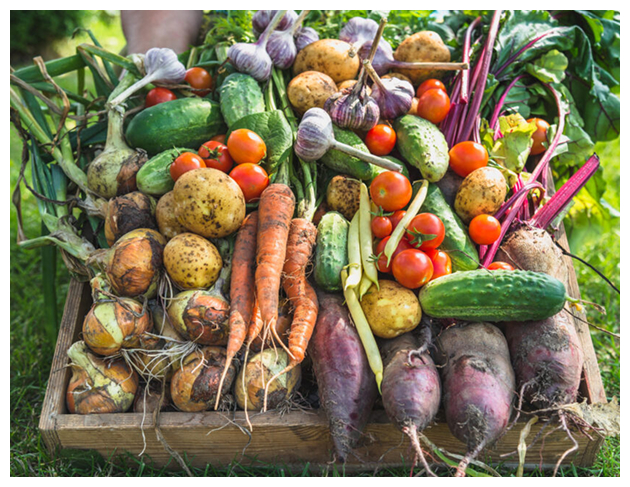 Crate of mixed vegetables